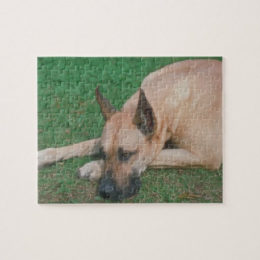 Fawn Great Dane Dog Puzzle Legpuzzel (Horizontaal)