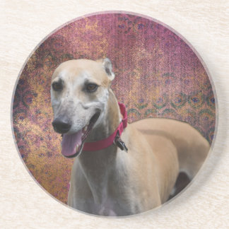 Fawn Greyhound Sandstone Onderzetter