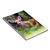 Fawn in de Bossen - Peek-a-boo - Notitieboek (Rechterzijde)