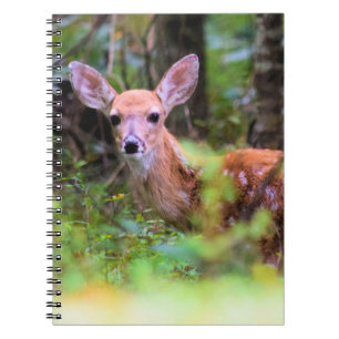 Fawn in de Bossen - Peek-a-boo - Notitieboek