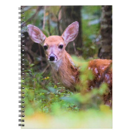 Fawn in de Bossen - Peek-a-boo - Notitieboek (Voorkant)