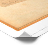 Fawn in Forest (0567A) Poster (Hoek)