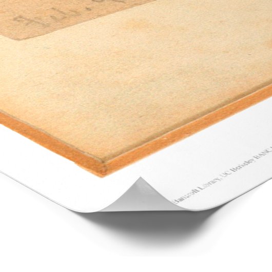 Fawn in Forest (0567A) Poster (Hoek)