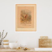 Fawn in Forest (0567A) Poster (Keuken)