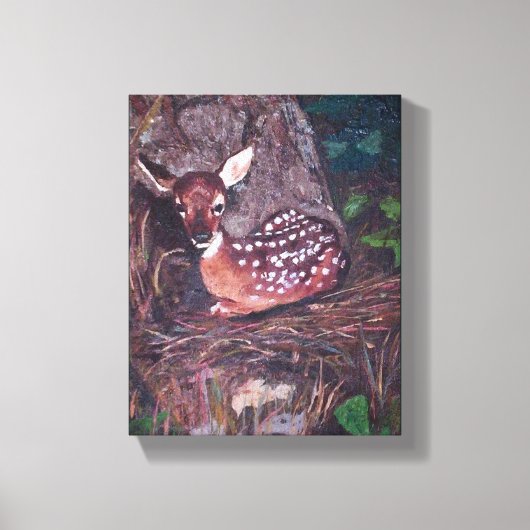 Fawn in Forest Canvas Afdruk (Voorkant)