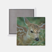 Fawn in Grass Magneet (Voorkant / Achterkant)