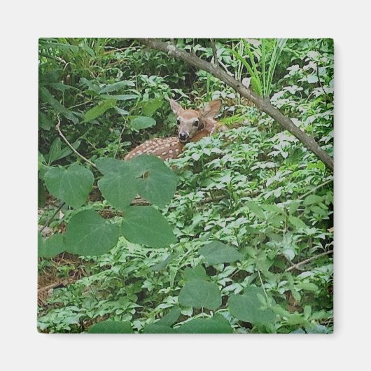 FAWN in Green Heart Leaves — Magneet (Voorkant)