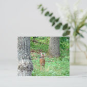 Fawn in Juli Briefkaart (Staand voorkant)
