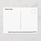 Fawn in Juli Briefkaart (Achterkant)