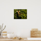 Fawn in Pine Trees Poster (Keuken)