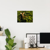 Fawn in Pine Trees Poster (Thuiskantoor)