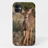 Fawn iPhone 5 Case-Mate iPhone Case (Achterkant)