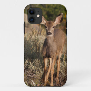 Fawn iPhone 5 iPhone 11 Hoesje