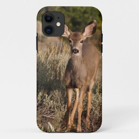 Fawn iPhone 5 Case-Mate iPhone Case (Achterkant)