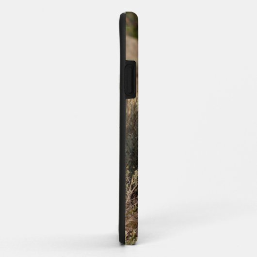 Fawn iPhone 5 Case-Mate iPhone Case (Achterkant/rechts)