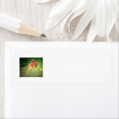 Fawn-label Etiket (Insitu)