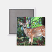 Fawn Magneet (Voorkant / Achterkant)