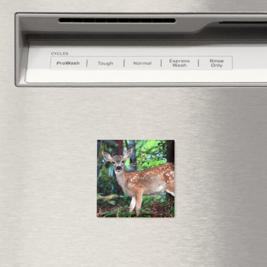 Fawn Magneet (Insitu (Vaatwasser))