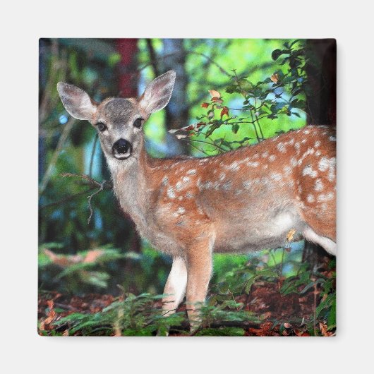 Fawn Magneet (Voorkant)