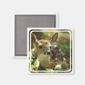 Fawn Magnet (Voorkant / Achterkant)