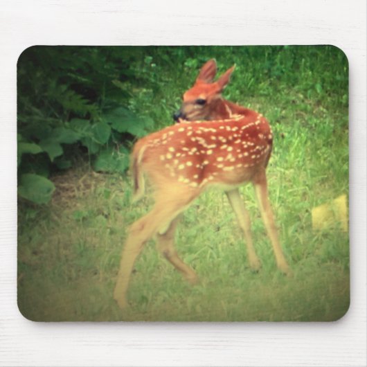 Fawn Muismat (Voorkant)
