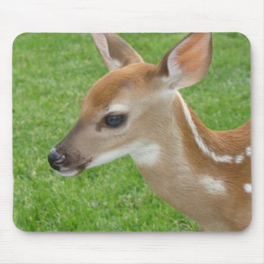 Fawn Muismat (Voorkant)