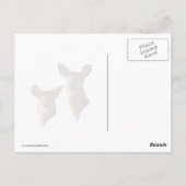 Fawn op gras ligt briefkaart (Achterkant)