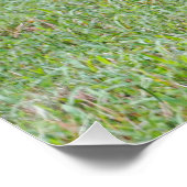 Fawn Perfect Poster (Hoek)