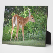 Fawn Plaque Fotoplaat (Zijkant)