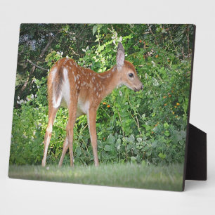Fawn Plaque Fotoplaat
