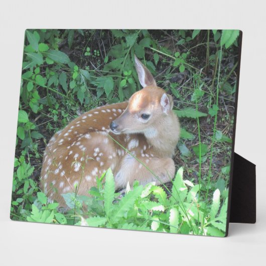 Fawn Plaque Fotoplaat (Zijkant)