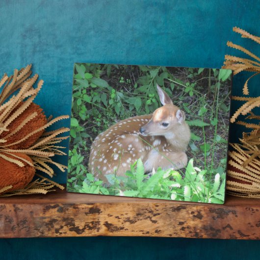 Fawn Plaque Fotoplaat (Zijkant)