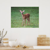 Fawn Poster (Keuken)
