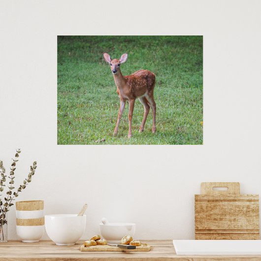 Fawn Poster (Keuken)