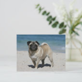 Fawn Pug bij Beach Briefkaart (Staand voorkant)