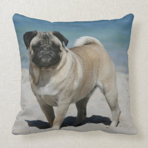Fawn Pug bij Beach Kussen