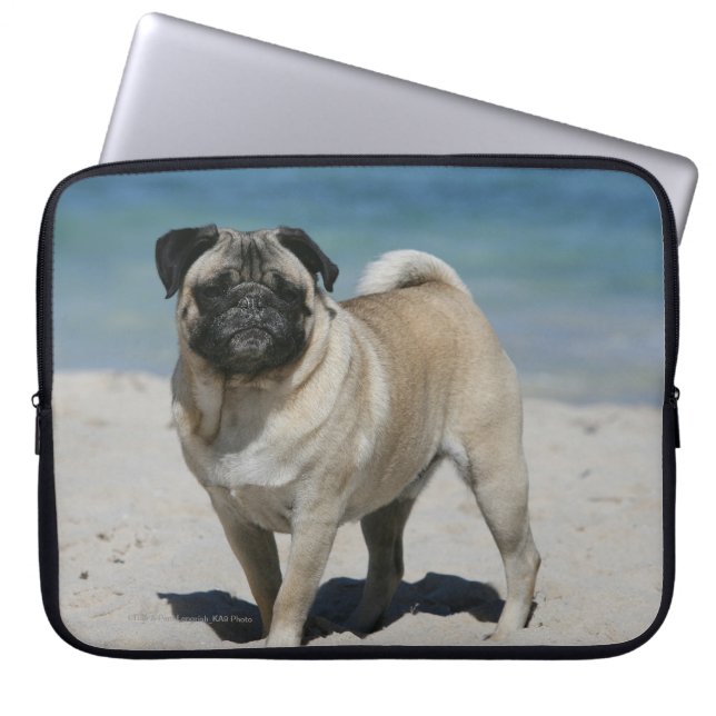 Fawn Pug bij Beach Laptop Sleeve (Voorkant)