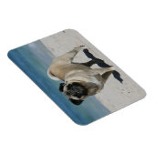 Fawn Pug bij Beach Magneet (Rechterzijde)