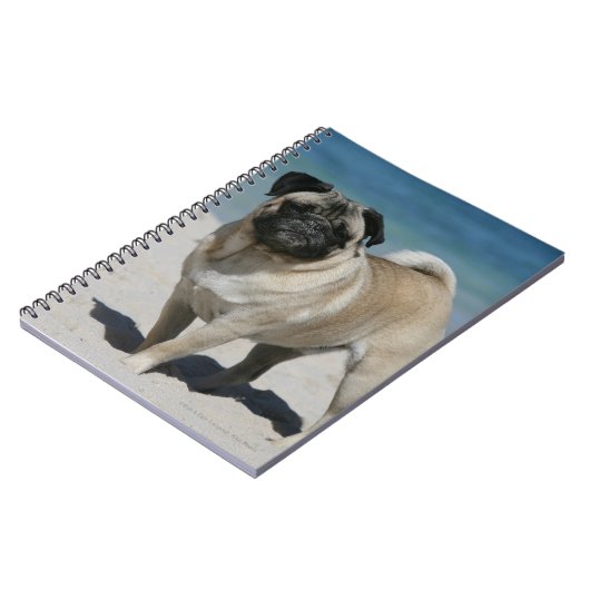 Fawn Pug bij Beach Notitieboek (Linkerzijde)