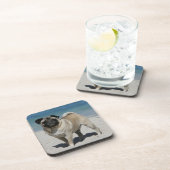 Fawn Pug bij Beach Onderzetter (Rechterzijde)