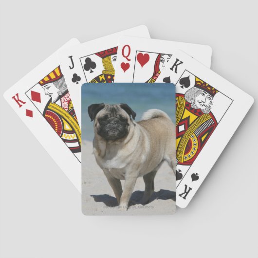 Fawn Pug bij Beach Pokerkaarten (Achterkant)
