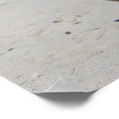 Fawn Pug bij Beach Poster (Hoek)