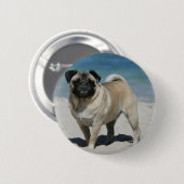 Fawn Pug bij Beach Ronde Button 5,7 Cm (Voorkant /achterkant)