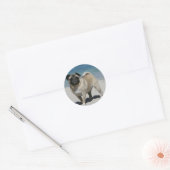 Fawn Pug bij Beach Ronde Sticker (Envelop)