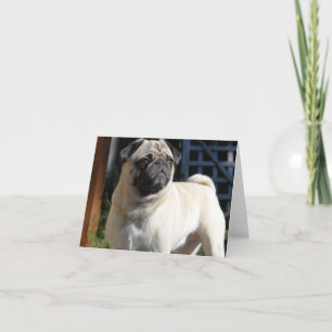 Fawn Pug Note Kaart - Leeg