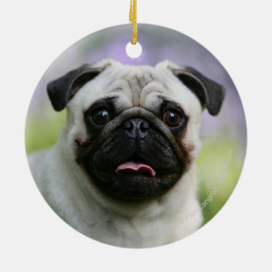 Fawn Pug on Alert Keramisch Ornament (Achterkant)