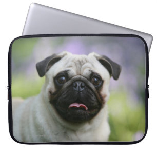 Fawn Pug on Alert Laptop Sleeve