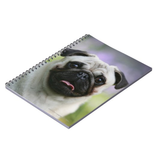 Fawn Pug on Alert Notitieboek (Linkerzijde)