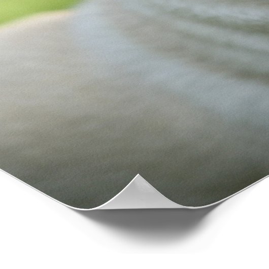 Fawn Pug on Alert Poster (Hoek)