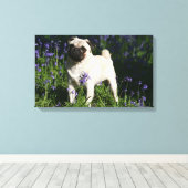 Fawn Pug Permanent in de Bluebells Canvas Afdruk (Insitu (Houten vloer))
